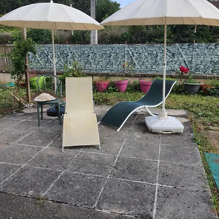 ベッド・アンド・ブレックファスト Domi Et Les Chats