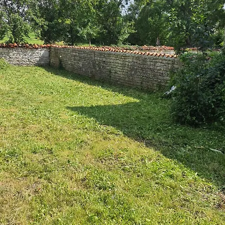 Domi Et Les Chats Barbezieres